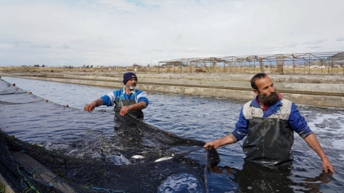 Stream episode Mediterranean-style for plastic fishing by FAO