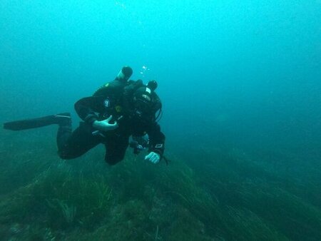 Ziaci diving in Gianutri in happier times